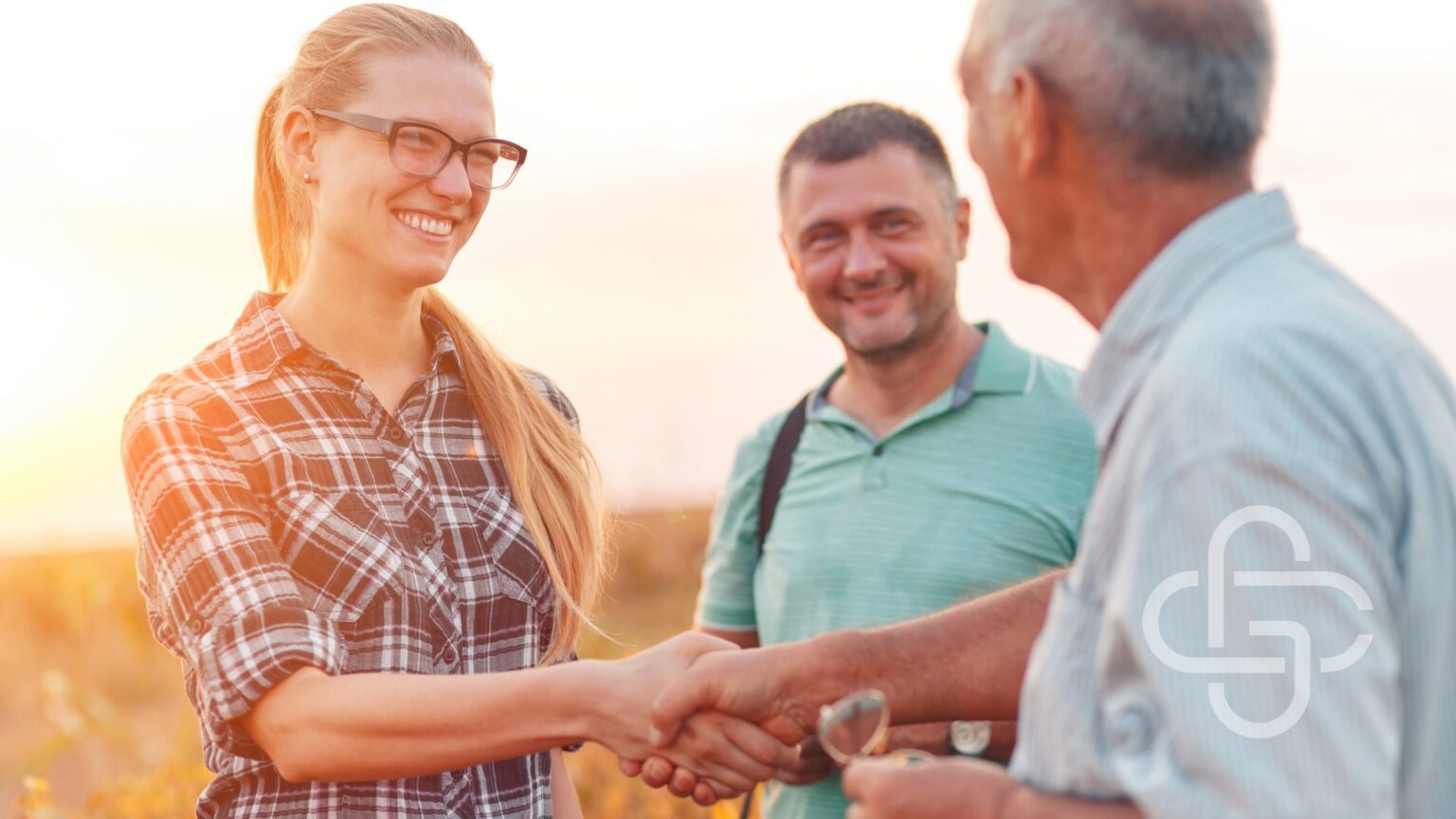 Woman shaking hands with a businessman in a field